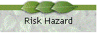 Risk Hazard