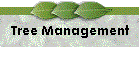 Tree Management